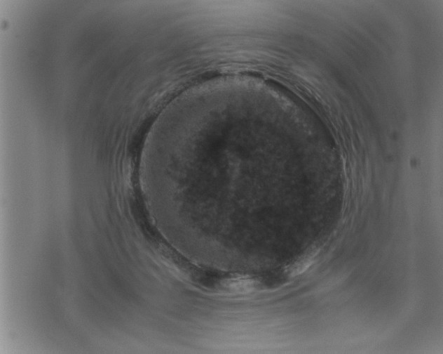 X0000075840219200609221713