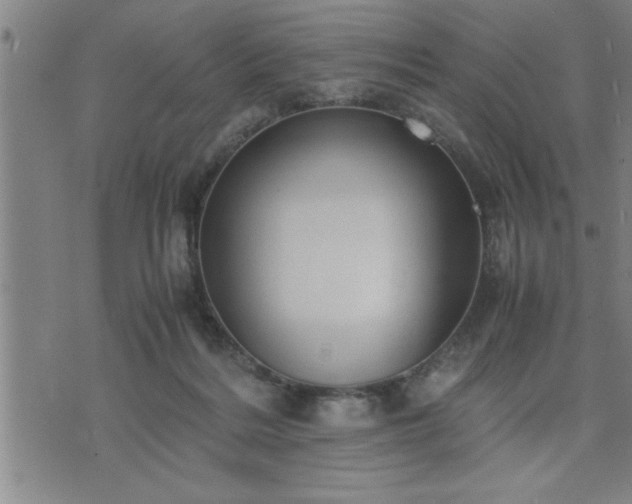 X0000075840220200609221713