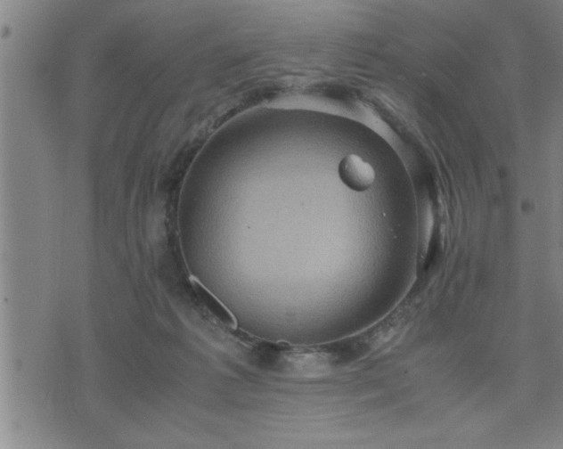 X0000075840221200609221713