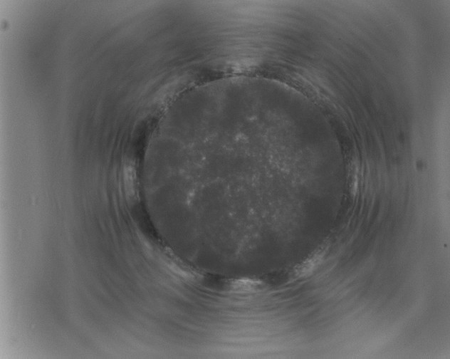 X0000075840222200609221713