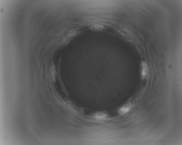 X0000075840223200609221713