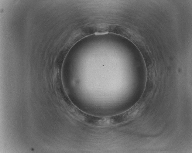 X0000075840225200609221713