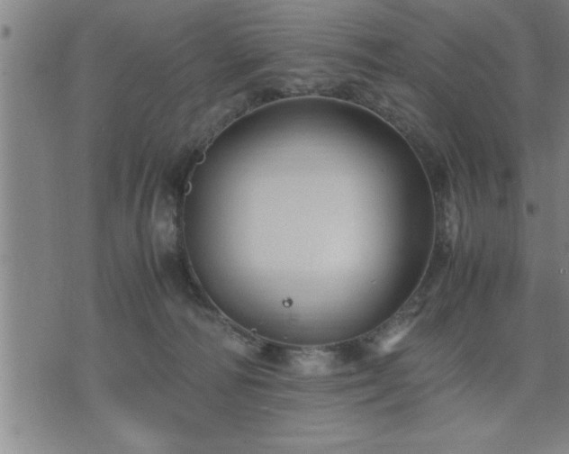 X0000075840226200609221713