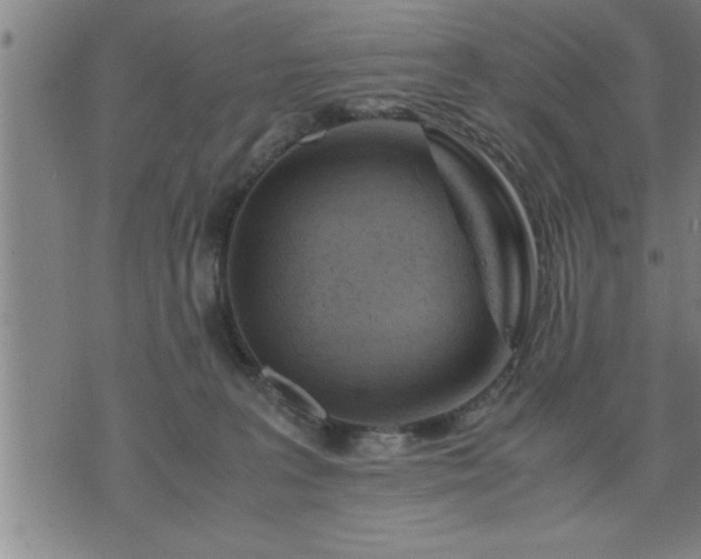 X0000075840227200609221713