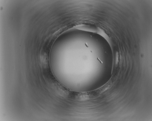 X0000075840228200609221713