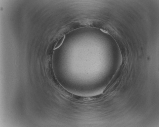 X0000075840229200609221713