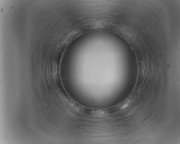 X0000075840230200609221713