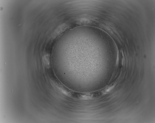 X0000075840232200609221713