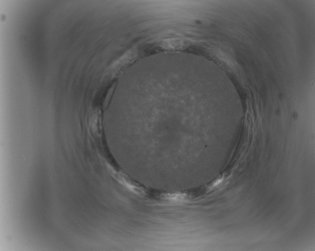 X0000075840233200609221713