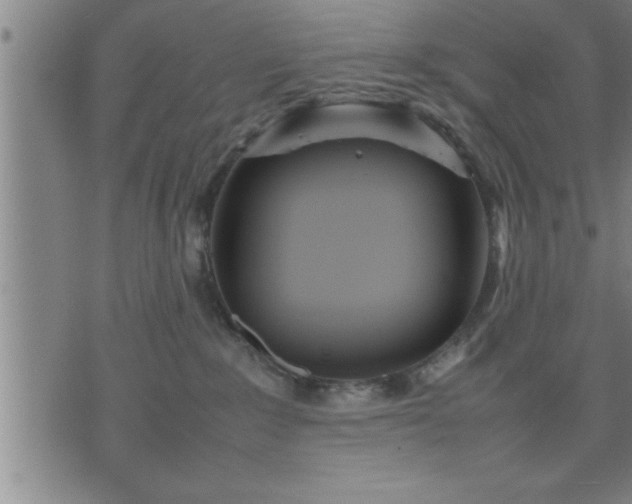 X0000075840235200609221713