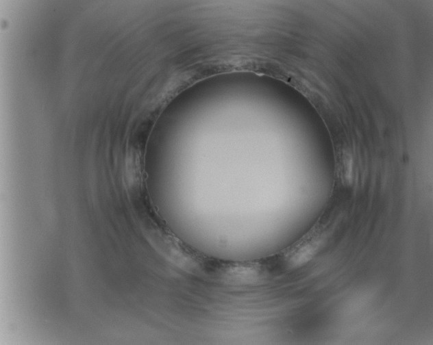 X0000075840236200609221713