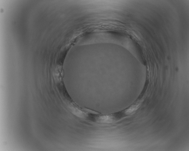 X0000075840237200609221713