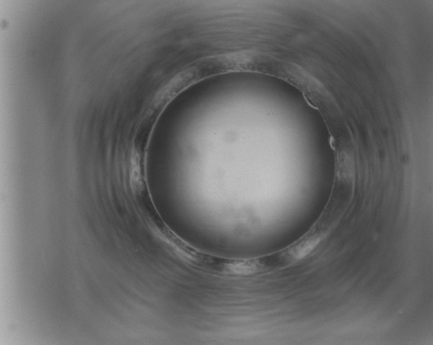 X0000075840238200609221713