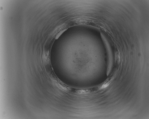 X0000075840239200609221713