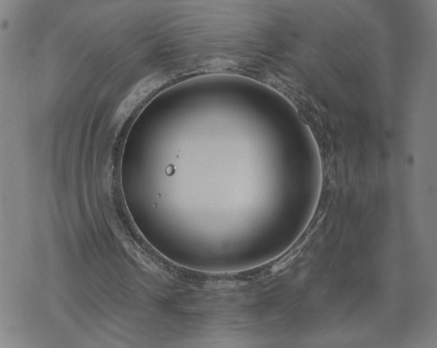 X0000075840242200609221712