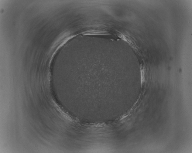 X0000075840243200609221712