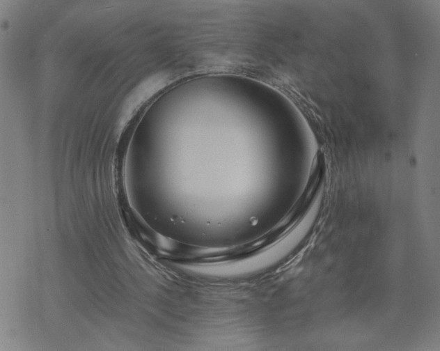 X0000075840244200609221712