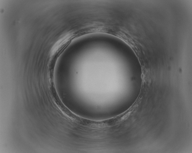 X0000075840245200609221712