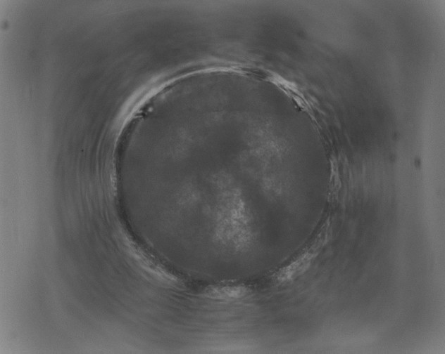 X0000075840247200609221712