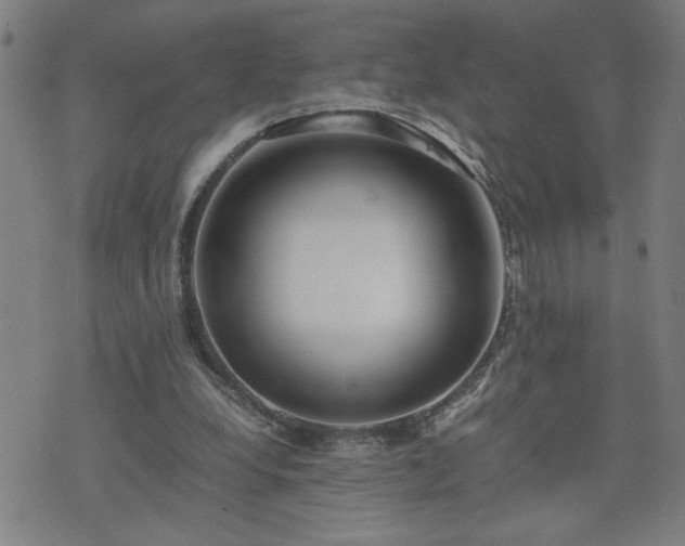 X0000075840248200609221712