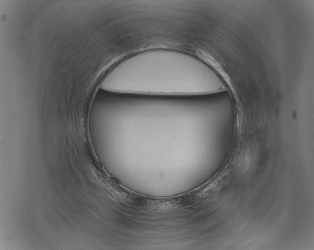 X0000075840249200609221712