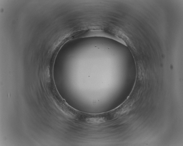 X0000075840251200609221712