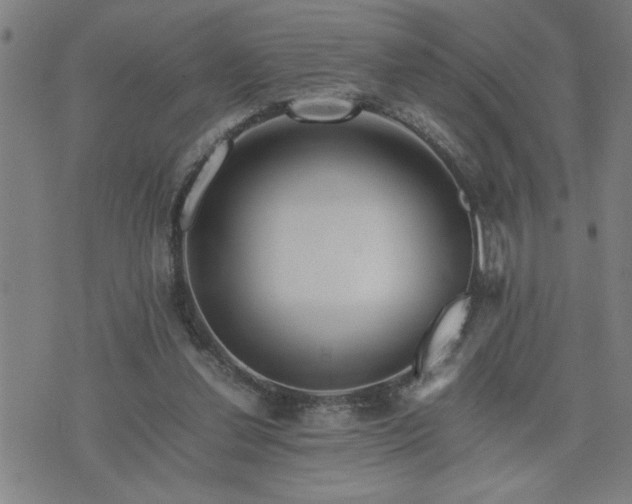 X0000075840252200609221712