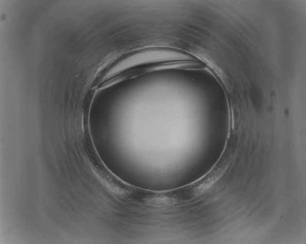 X0000075840253200609221712