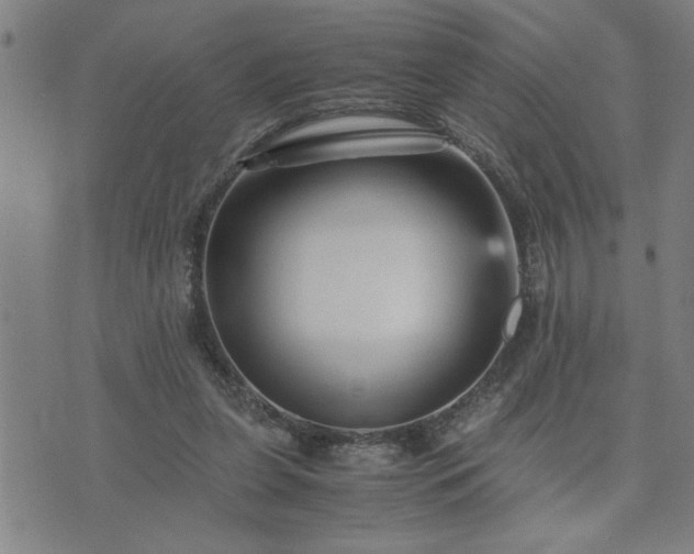 X0000075840255200609221712