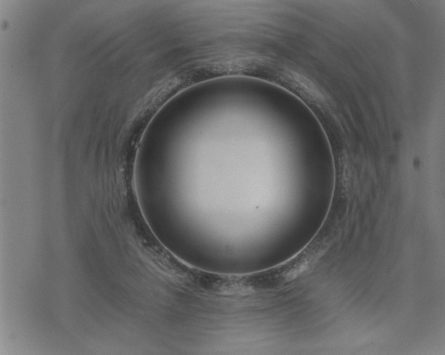 X0000075840258200609221712