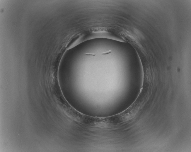 X0000075840259200609221712