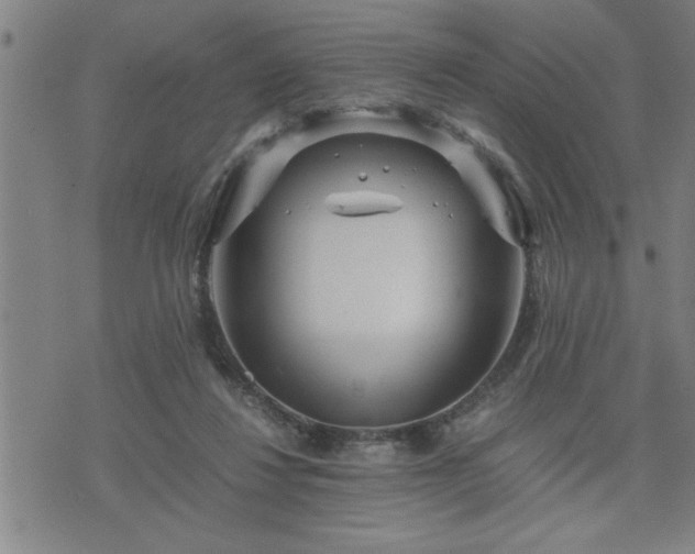 X0000075840260200609221712