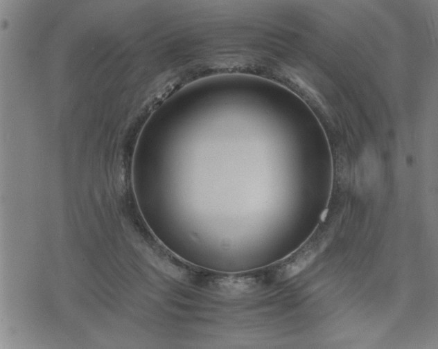 X0000075840261200609221712