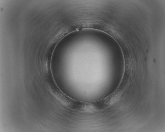 X0000075840262200609221712