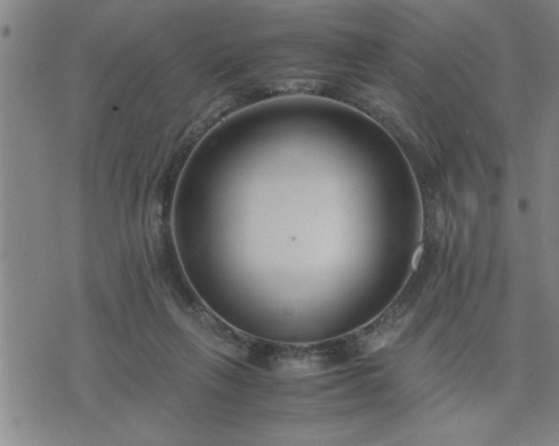 X0000075840263200609221712