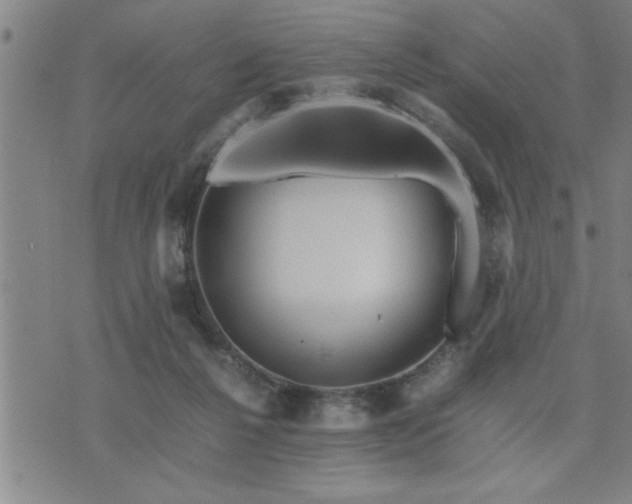 X0000075840264200609221712