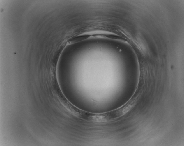 X0000075840265200609221712