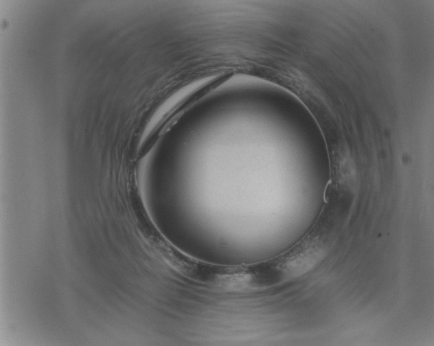 X0000075840266200609221712