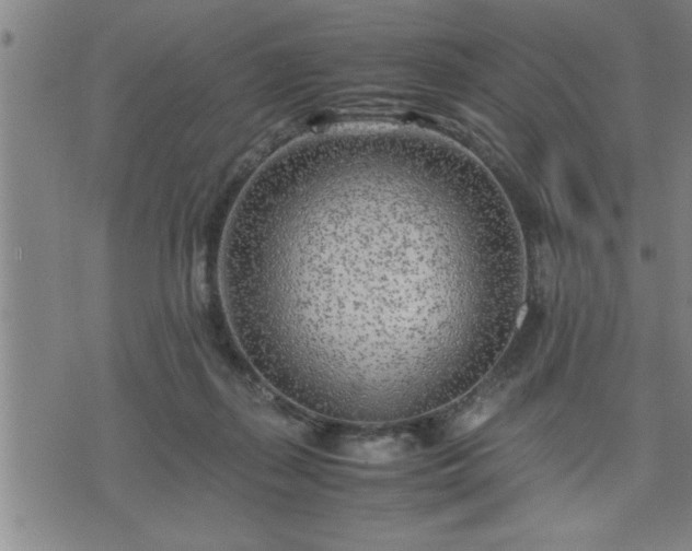 X0000075840267200609221712