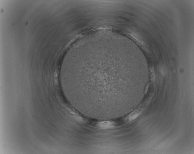 X0000075840269200609221712