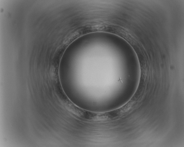 X0000075840270200609221712