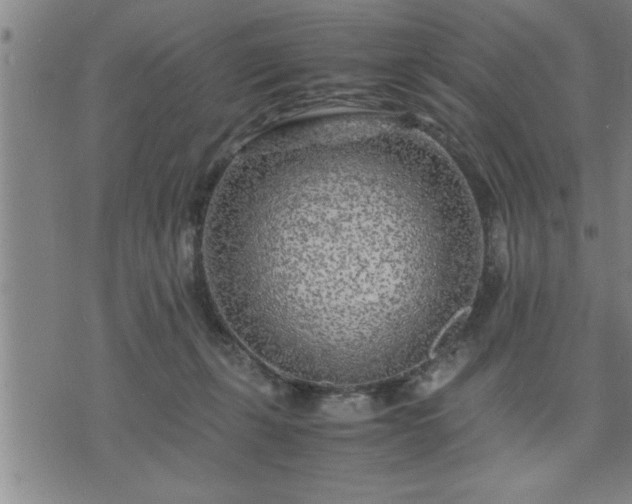 X0000075840271200609221712