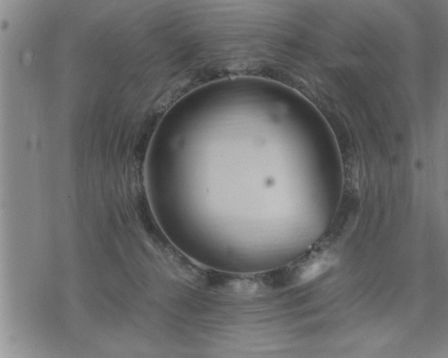 X0000075840272200609221712