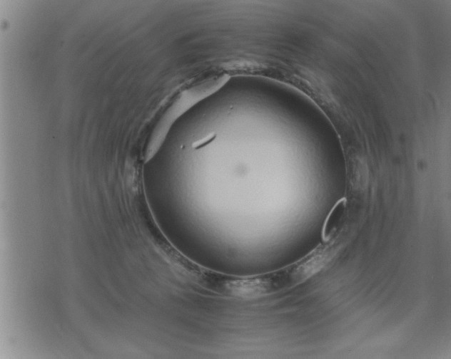 X0000075840273200609221712