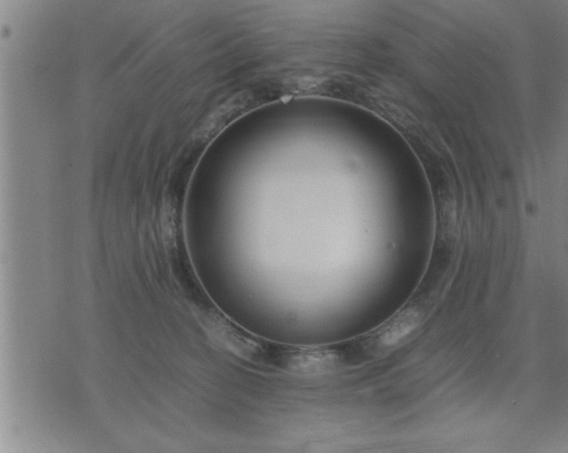 X0000075840274200609221712