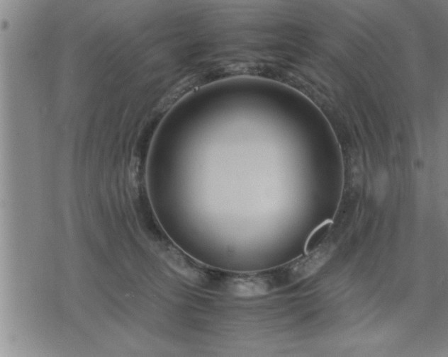 X0000075840275200609221712