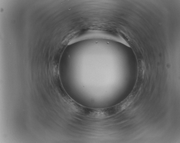 X0000075840276200609221713