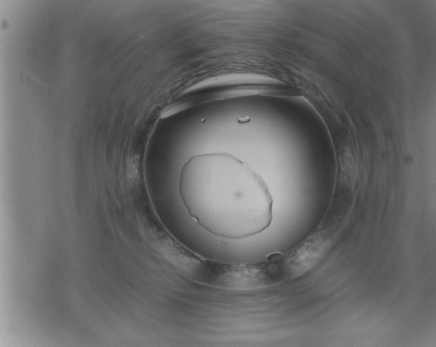 X0000075840278200609221713