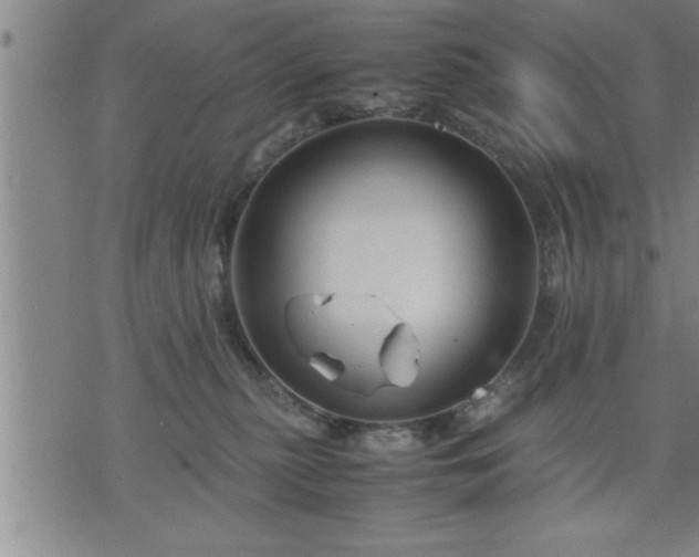 X0000075840279200609221713