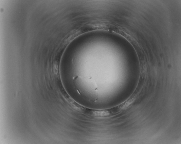 X0000075840281200609221713